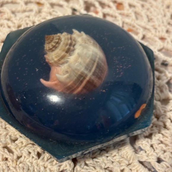 Vintage Seashells in Resin Paperweights - Picture 6 of 13